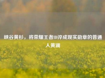 峡谷黄杉，将荣耀王者ID淬成现实勋章的普通人黄澜