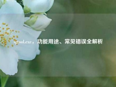 sgtool.exe，功能用途、常见错误全解析