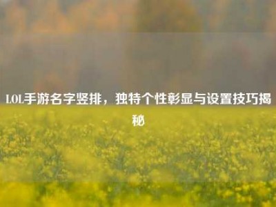 LOL手游名字竖排，独特个性彰显与设置技巧揭秘