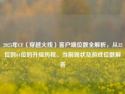 2025年CF（穿越火线）客户端位数全解析，从32位到64位的升级历程、当前现状及游戏位数解答
