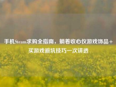 手机Steam求购全指南，躺着收心仪游戏饰品+买游戏避坑技巧一次讲透