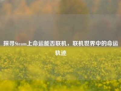 探寻Steam上命运能否联机，联机世界中的命运轨迹