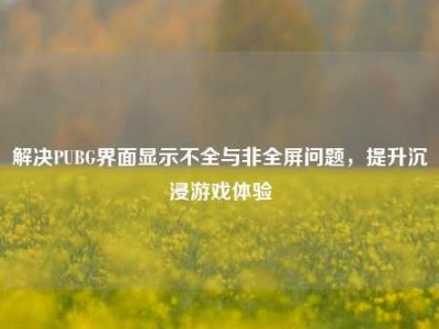 解决PUBG界面显示不全与非全屏问题，提升沉浸游戏体验