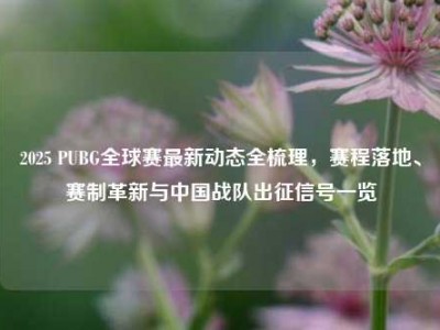 2025 PUBG全球赛最新动态全梳理，赛程落地、赛制革新与中国战队出征信号一览