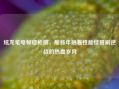 炫龙笔电帧稳枪刚，那些年抱着性能怪兽刷逆战的热血岁月