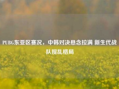 PUBG东亚区赛况，中韩对决悬念拉满 新生代战队搅乱格局