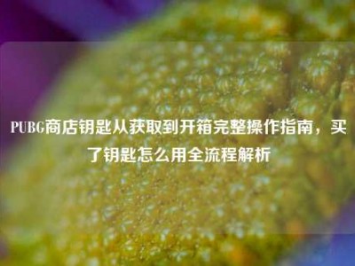 PUBG商店钥匙从获取到开箱完整操作指南，买了钥匙怎么用全流程解析
