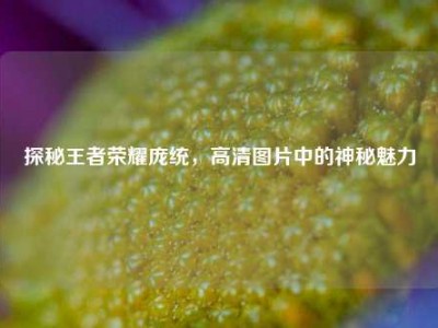 探秘王者荣耀庞统，高清图片中的神秘魅力