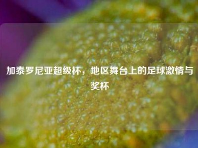 加泰罗尼亚超级杯，地区舞台上的足球激情与奖杯