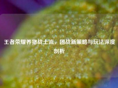 王者荣耀养猪战士流，团战新策略与玩法深度剖析