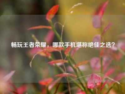 畅玩王者荣耀，哪款手机堪称绝佳之选？
