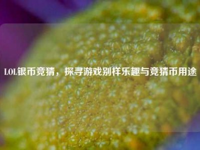 LOL银币竞猜，探寻游戏别样乐趣与竞猜币用途