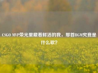 CSGO MVP荣光里藏着鲜活的我，那首BGM究竟是什么歌？