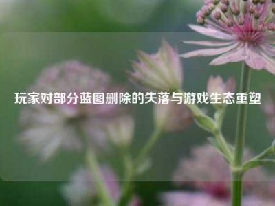 玩家对部分蓝图删除的失落与游戏生态重塑