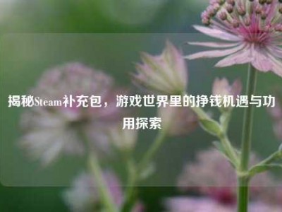 揭秘Steam补充包，游戏世界里的挣钱机遇与功用探索