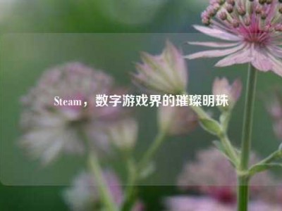 Steam，数字游戏界的璀璨明珠