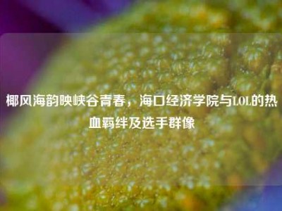椰风海韵映峡谷青春，海口经济学院与LOL的热血羁绊及选手群像
