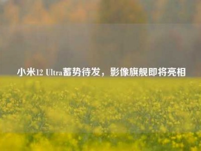小米12 Ultra蓄势待发，影像旗舰即将亮相