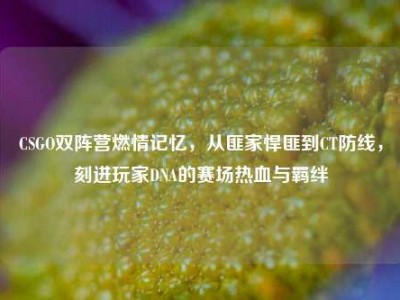CSGO双阵营燃情记忆，从匪家悍匪到CT防线，刻进玩家DNA的赛场热血与羁绊