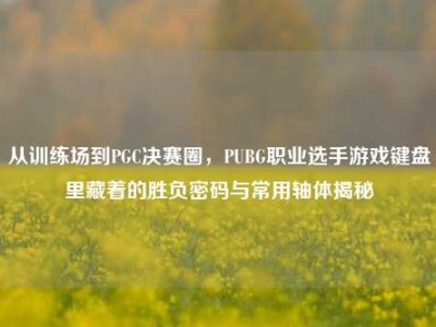 从训练场到PGC决赛圈，PUBG职业选手游戏键盘里藏着的胜负密码与常用轴体揭秘