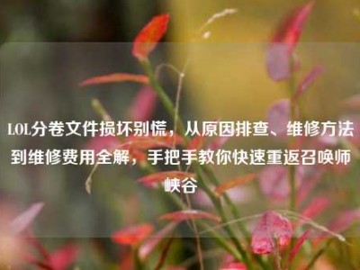 LOL分卷文件损坏别慌，从原因排查、维修方法到维修费用全解，手把手教你快速重返召唤师峡谷