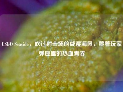 CSGO Seaside，吹过射击场的咸湿海风，藏着玩家弹匣里的热血青春