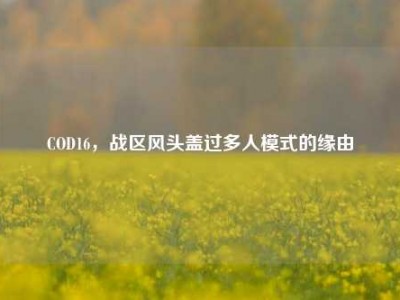 COD16，战区风头盖过多人模式的缘由