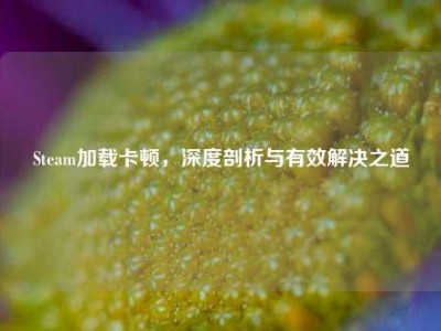 Steam加载卡顿，深度剖析与有效解决之道