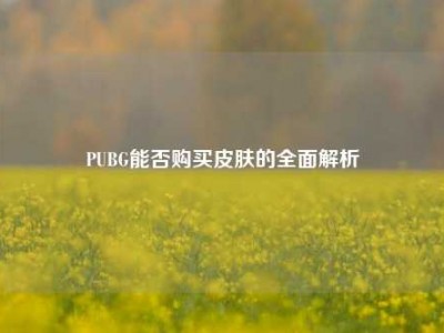PUBG能否购买皮肤的全面解析