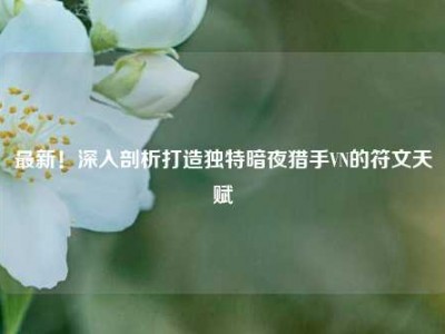 最新！深入剖析打造独特暗夜猎手VN的符文天赋