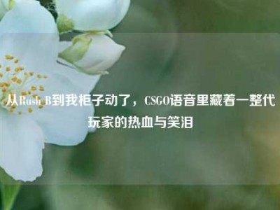 从Rush B到我柜子动了，CSGO语音里藏着一整代玩家的热血与笑泪