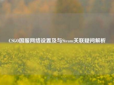 CSGO国服网络设置及与Steam关联疑问解析