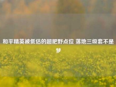 和平精英被低估的超肥野点位 落地三级套不是梦