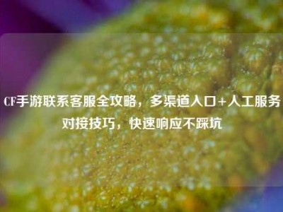 CF手游联系客服全攻略，多渠道入口+人工服务对接技巧，快速响应不踩坑