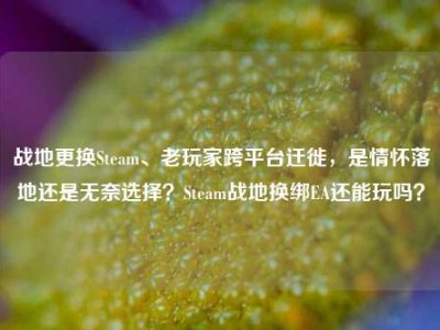 战地更换Steam、老玩家跨平台迁徙，是情怀落地还是无奈选择？Steam战地换绑EA还能玩吗？