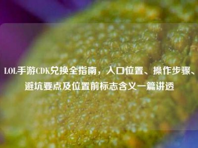 LOL手游CDK兑换全指南，入口位置、操作步骤、避坑要点及位置前标志含义一篇讲透