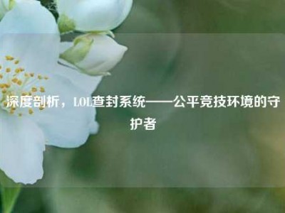 深度剖析，LOL查封系统——公平竞技环境的守护者