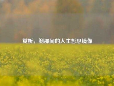 赏析，刹那间的人生哲思镜像