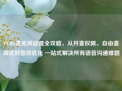 PUBG麦克风设置全攻略，从开麦权限、自由麦调试到音效优化 一站式解决所有语音沟通难题