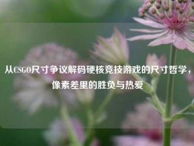 从CSGO尺寸争议解码硬核竞技游戏的尺寸哲学，像素差里的胜负与热爱