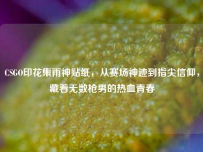 CSGO印花集雨神贴纸，从赛场神迹到指尖信仰，藏着无数枪男的热血青春