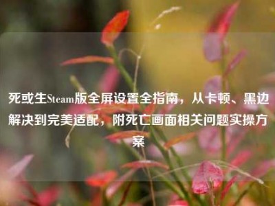 死或生Steam版全屏设置全指南，从卡顿、黑边解决到完美适配，附死亡画面相关问题实操方案