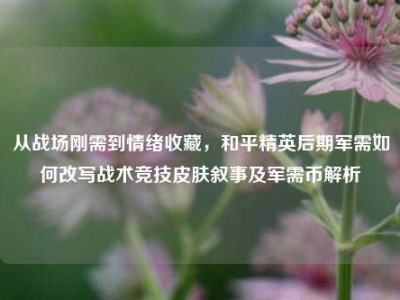 从战场刚需到情绪收藏，和平精英后期军需如何改写战术竞技皮肤叙事及军需币解析