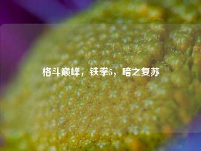 格斗巅峰，铁拳5，暗之复苏