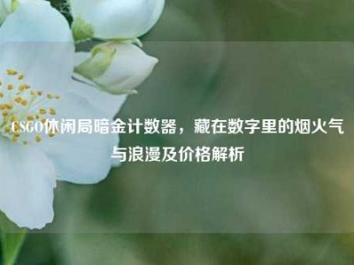 CSGO休闲局暗金计数器，藏在数字里的烟火气与浪漫及价格解析