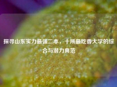 探寻山东实力最强二本，十所最吃香大学的综合与潜力典范