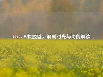 Ctrl - W快捷键，误删时光与功能解读