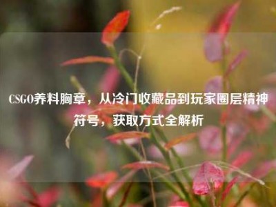 CSGO养料胸章，从冷门收藏品到玩家圈层精神符号，获取方式全解析