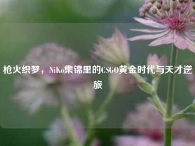 枪火织梦，NiKo集锦里的CSGO黄金时代与天才逆旅