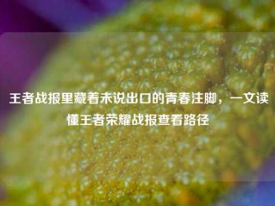 王者战报里藏着未说出口的青春注脚，一文读懂王者荣耀战报查看路径